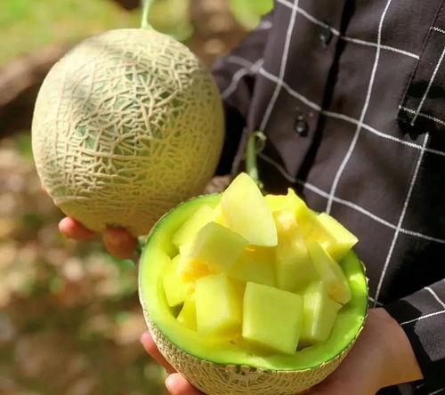 娱乐吃瓜壁纸高清图片