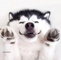 吃瓜群众视频合集在线观看,笑料百出视频合集