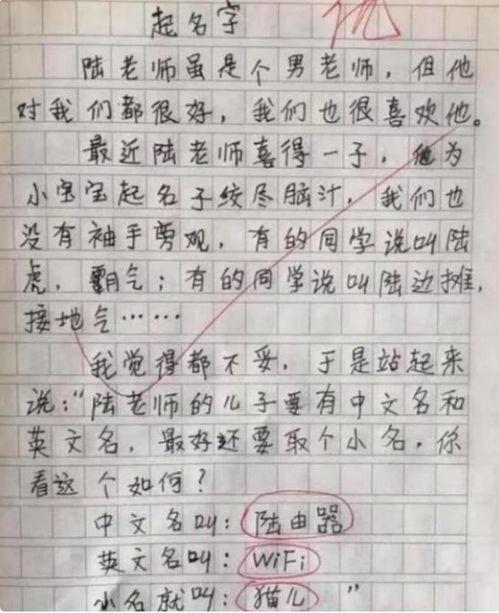 搞笑写作文视频,揭秘搞笑写作文视频的欢乐之旅